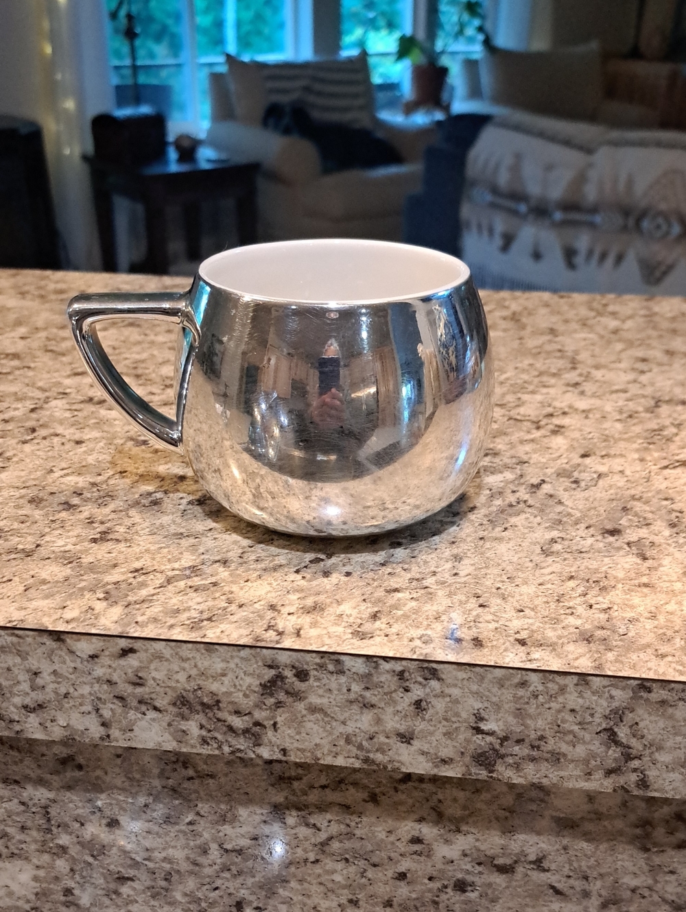 STARBUCKS Holiday Mug 2013 Shiny Metallic Silver Chrome Mirror 14oz Coffee Mug